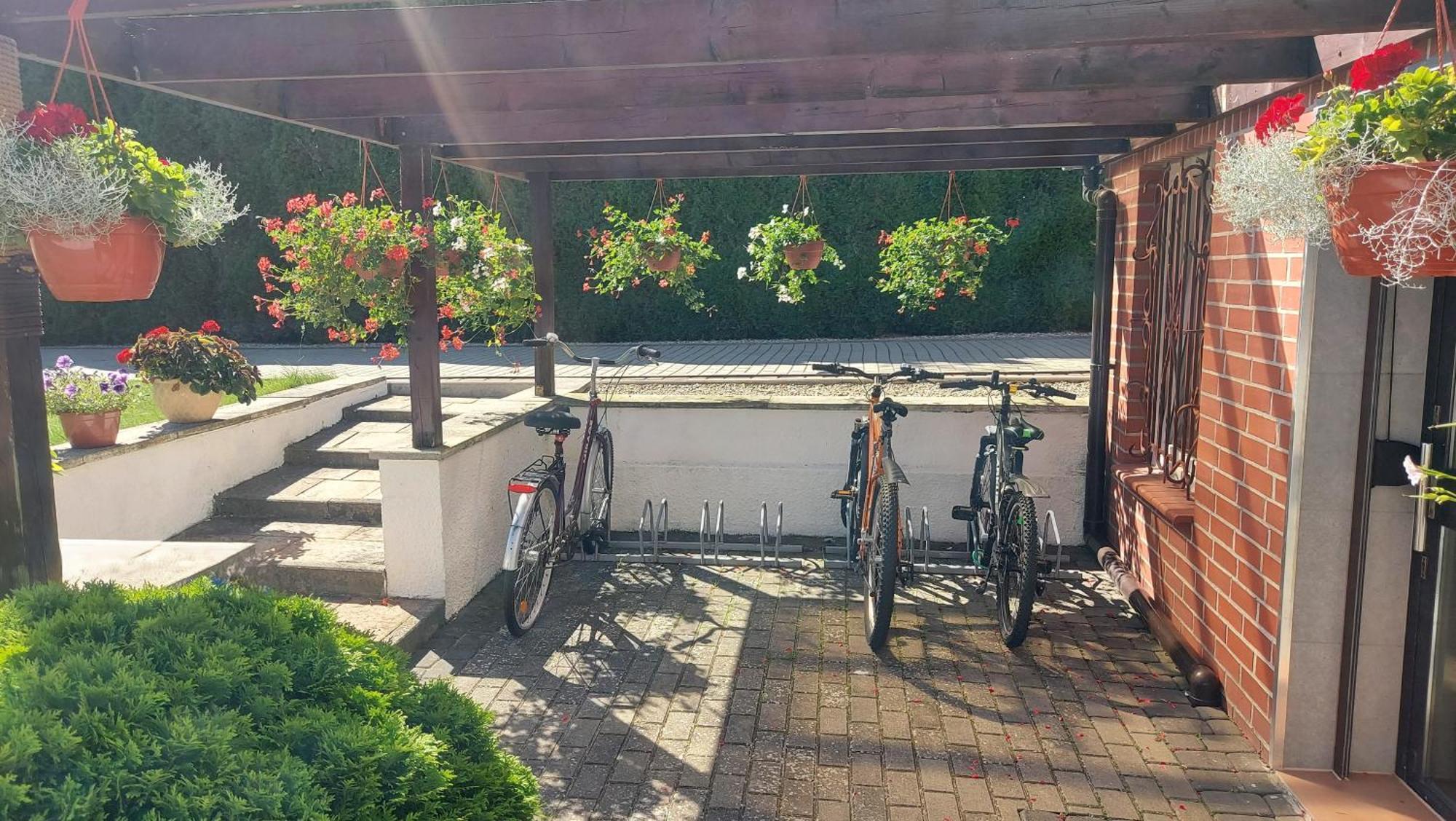 Wanta Apartament